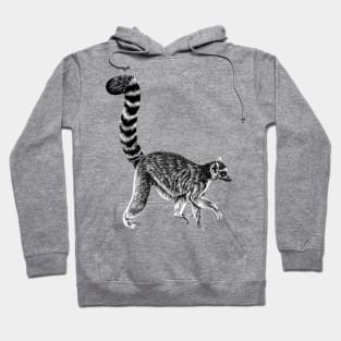 Walking ring-tailed lemur monkey ink illustration 3 Hoodie